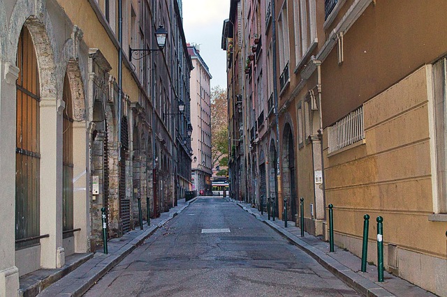 Lyon-rue-chasseur-immobilier