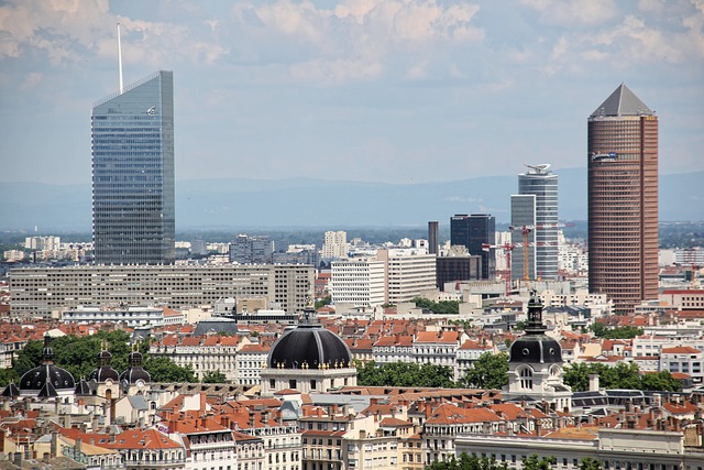 lyon-skyline-chasseur-immobilier